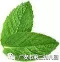 【春游记】“感受春天,让身心撒野”——户外拓展活动 【春游记】“感受春天,让身心撒野”——户外拓展活动