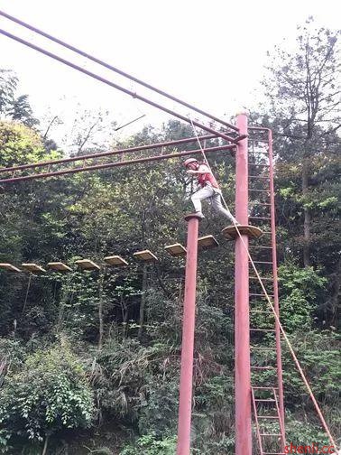 “凝心聚力 奋力向前”主题拓展培训顺利完成 “凝心聚力 奋力向前”主题拓展培训顺利完成