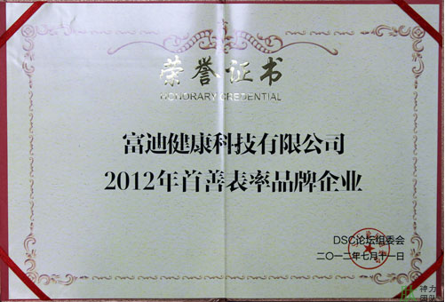 富迪爱游戏的荣誉证书一览