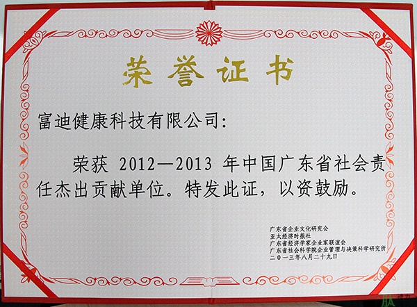 富迪爱游戏的荣誉证书一览