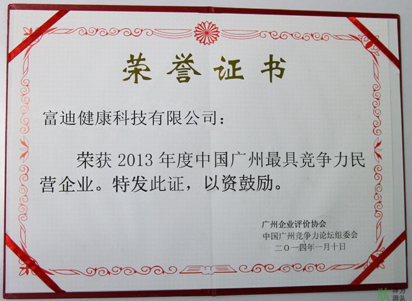富迪爱游戏的荣誉证书一览