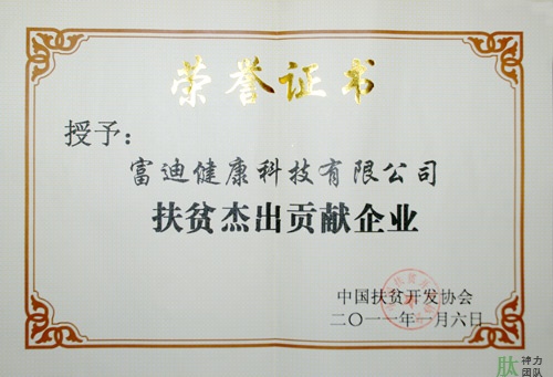 富迪爱游戏的荣誉证书一览