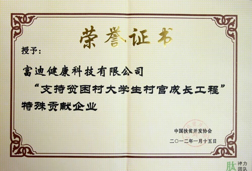 富迪爱游戏的荣誉证书一览